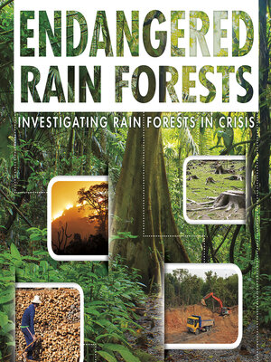 cover image of Endangered Rain Forests